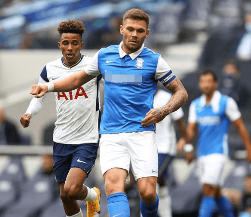 多伦多蓝鸟 多伦多蓝鸟